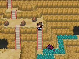 Gua Pokmon B2W2