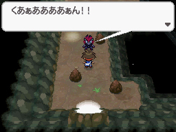 Gua Pokmon B2W2