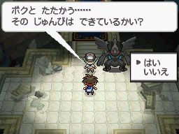Gua Pokmon B2W2