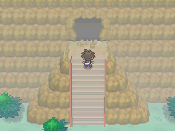 Gua Pokmon B2W2