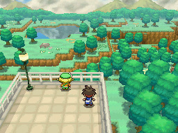 Gua Pokmon B2W2