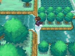Gua Pokmon B2W2
