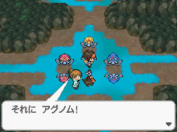 Gua Pokmon B2W2