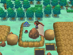 Gua Pokmon B2W2