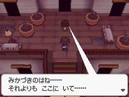 Gua Pokmon B2W2