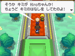 Gua Pokmon B2W2