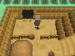 Gua Pokmon B2W2