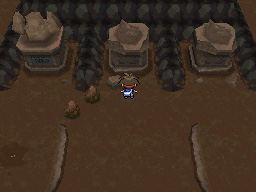 Gua Pokmon B2W2