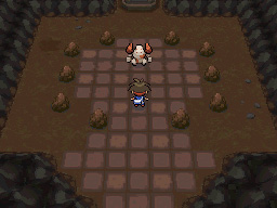 Gua Pokmon B2W2