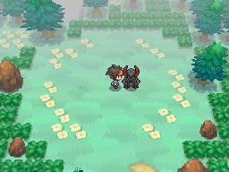 Gua Pokmon B2W2
