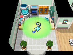 Gua Pokmon B2W2