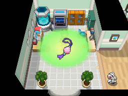 Gua Pokmon B2W2