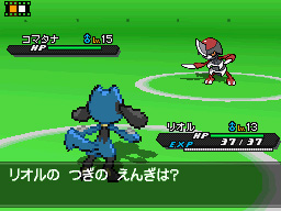 Gua Pokmon B2W2