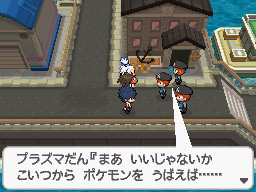 Gua Pokmon B2W2