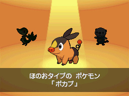 Gua Pokmon B2W2