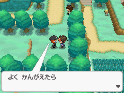 Gua Pokmon B2W2