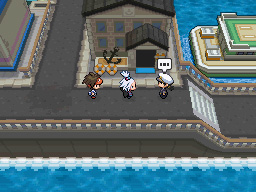 Gua Pokmon B2W2