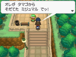 Gua Pokmon B2W2