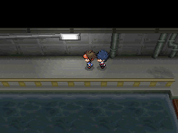 Gua Pokmon B2W2