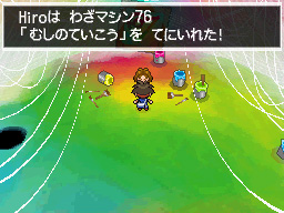 Gua Pokmon B2W2
