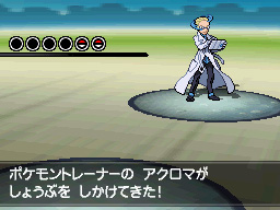 Gua Pokmon B2W2