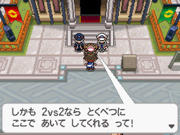 Gua Pokmon B2W2
