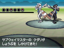 Gua Pokmon B2W2