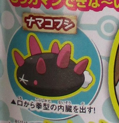 Pokmon
