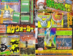 HeartGold SoulSilver