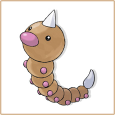 Weedle Artwork Image