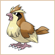 Pidgey Artwork Image