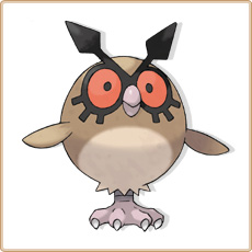 Hoothoot Artwork Image