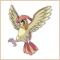 Pidgeotto Artwork Image