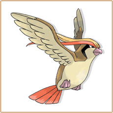 Pidgeot Artwork Image