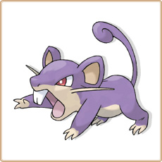 Rattata Artwork Image