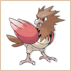 Spearow Artwork Image