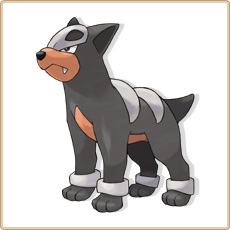 Houndour Artwork Image
