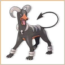 Houndoom Artwork Image