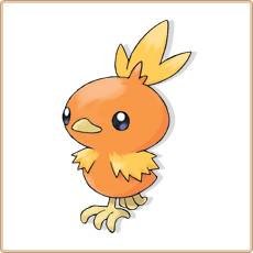 Torchic Artwork Image