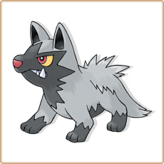 Poochyena Artwork Image