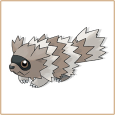 Zigzagoon Artwork Image
