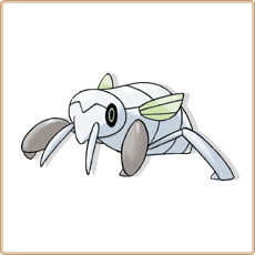 Nincada Artwork Image