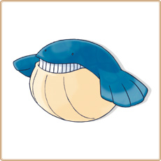 Wailmer Artwork Image