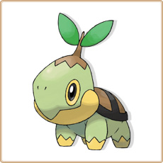 Turtwig Artwork Image