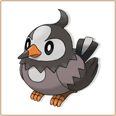 Starly Artwork Image