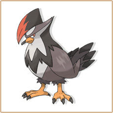 Staraptor Artwork Image