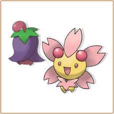 Cherrim Artwork Image