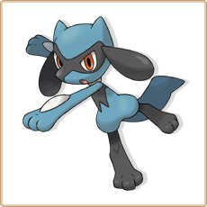 Riolu Artwork Image