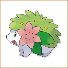 Shaymin Artwork Image