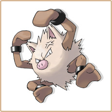 Primeape Artwork Image
